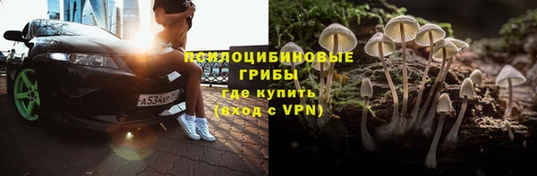 твердый Алексеевка