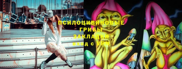 твердый Алексеевка