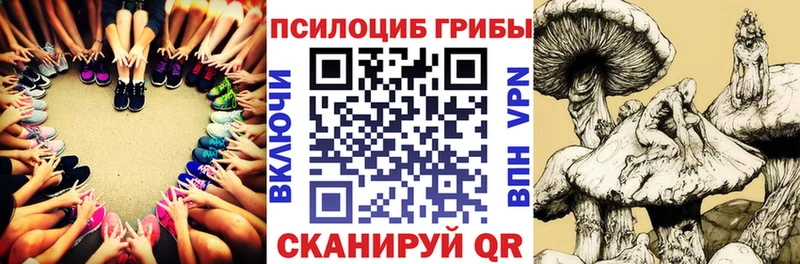 Псилоцибиновые грибы MAGIC MUSHROOMS  Нижнеудинск 