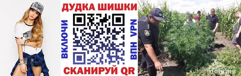 где купить наркоту  Нижнеудинск  Марихуана Amnesia 
